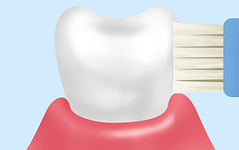 歯みがき指導